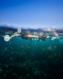 Two people wearing snorkel masks swimming underwater in the ocean near coral reefs, captured by Mathieu Young.