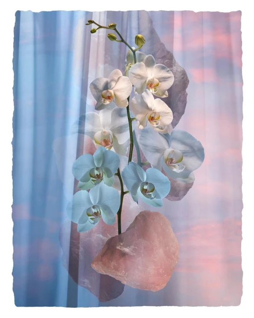 Elegant orchid blossoms in white and blue hues are displayed alongside rose quartz stones against a blurred pastel sunset backdrop.