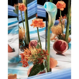 Close-up floral arrangement featuring orange ranunculus, yellow pincushion flowers, and a gradient blue-white calla lily with sliced grapefruits.