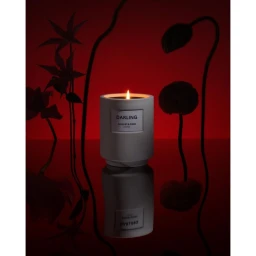 A lit candle in a grey container with text on a reflective red surface, framed by silhouetted floral stems.