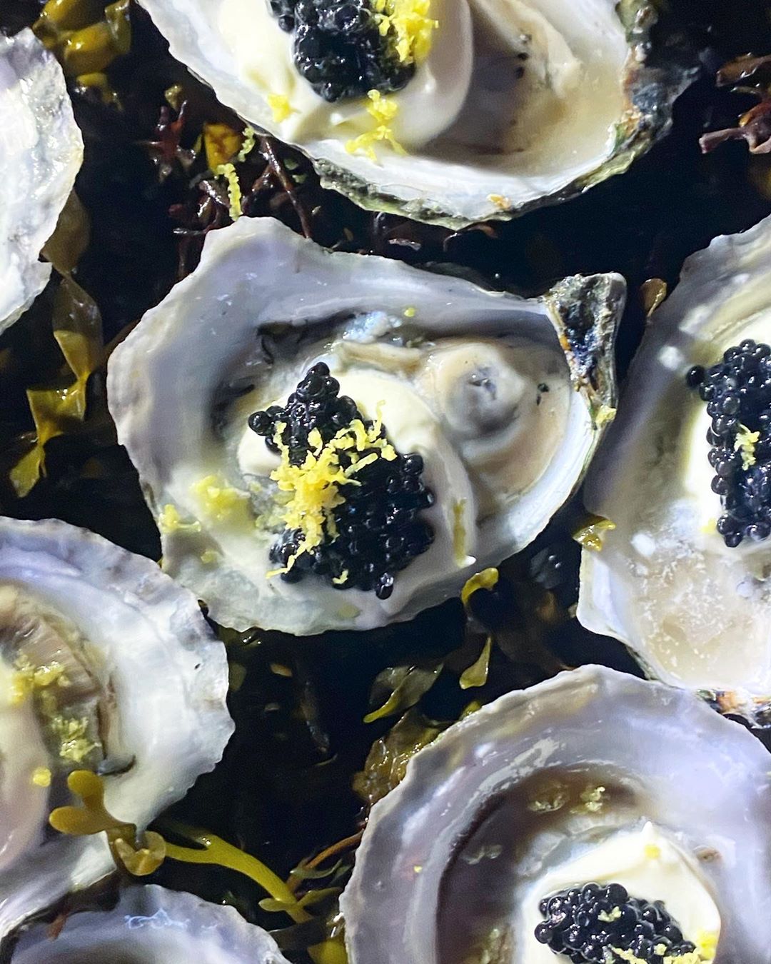 Overhead view of several oysters on the half shell topped with black caviar and shredded yellow citrus zest, arranged on seaweed.