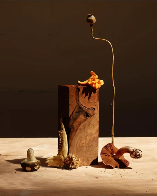 Artistic still life featuring mushrooms, dried flowers, and a section of animal bone arranged on a light wooden surface against a dark backdrop.
