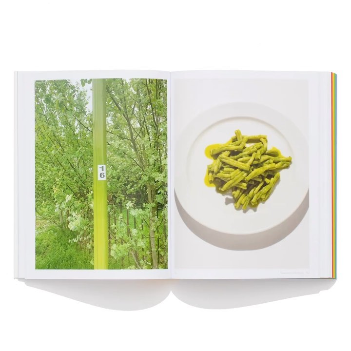 Open cookbook featuring a photo of green pasta dish on a white plate, complemented by an outdoor scene with lush green trees.