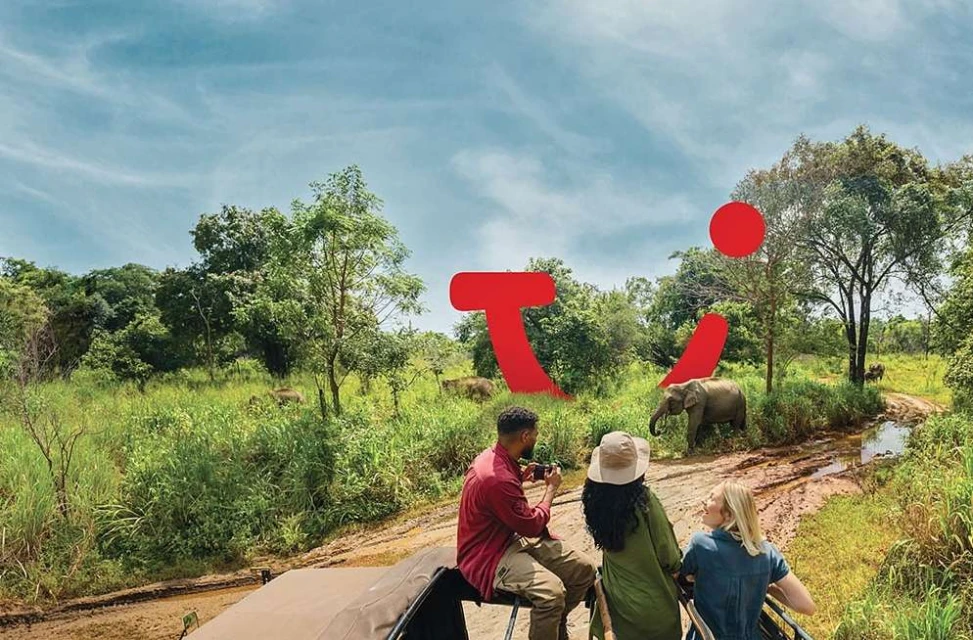 Three tourists in an open safari vehicle observe elephants in a lush, green landscape under a partly cloudy sky. Safari adventure.