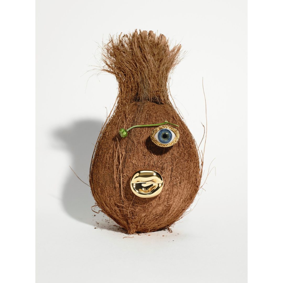 Coconut 'face' art with an eye and golden mouth detail against a white background. Unique, creative, and whimsical.