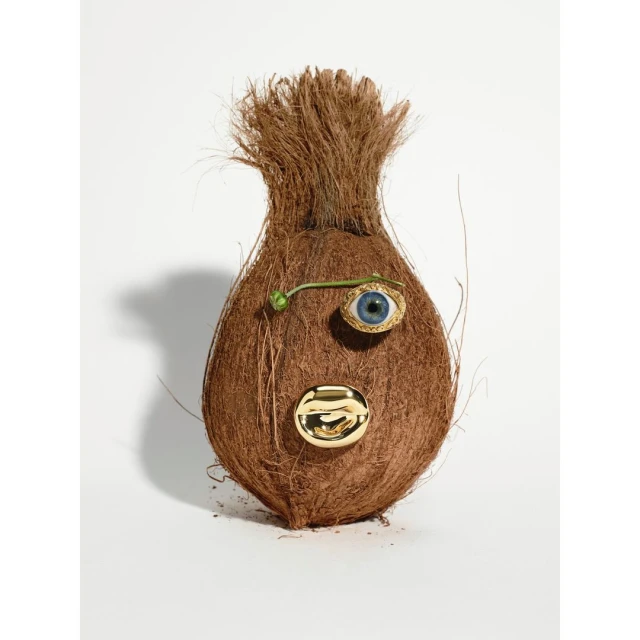 Coconut 'face' art with an eye and golden mouth detail against a white background. Unique, creative, and whimsical.