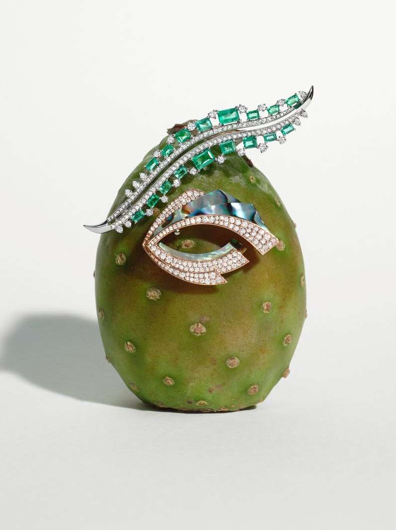 Still life photograph of a prickly pear fruit with two jeweled brooches attached against a stark white background. High-end jewelry.