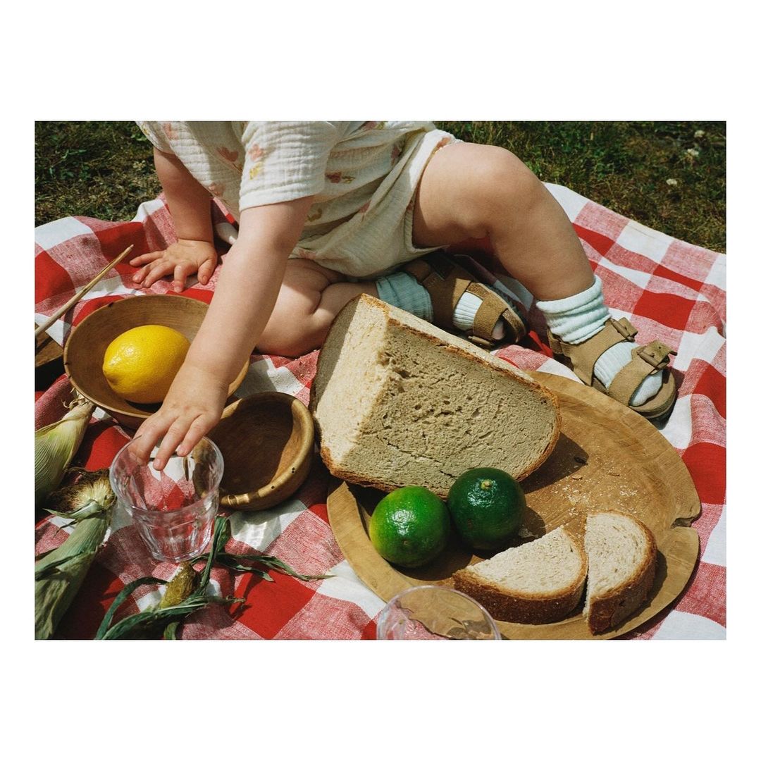 Child sits with fresh bread, limes, lemon, and glass of water on a red and white checkered picnic blanket outdoors in daylight.