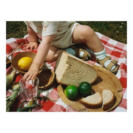 Child sits with fresh bread, limes, lemon, and glass of water on a red and white checkered picnic blanket outdoors in daylight.