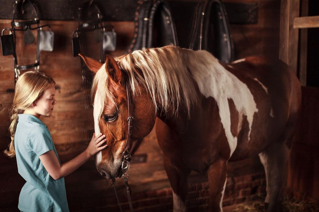 A young girl gently pets a brown and white horse inside a rustic wooden stable illuminated by soft, natural lighting.