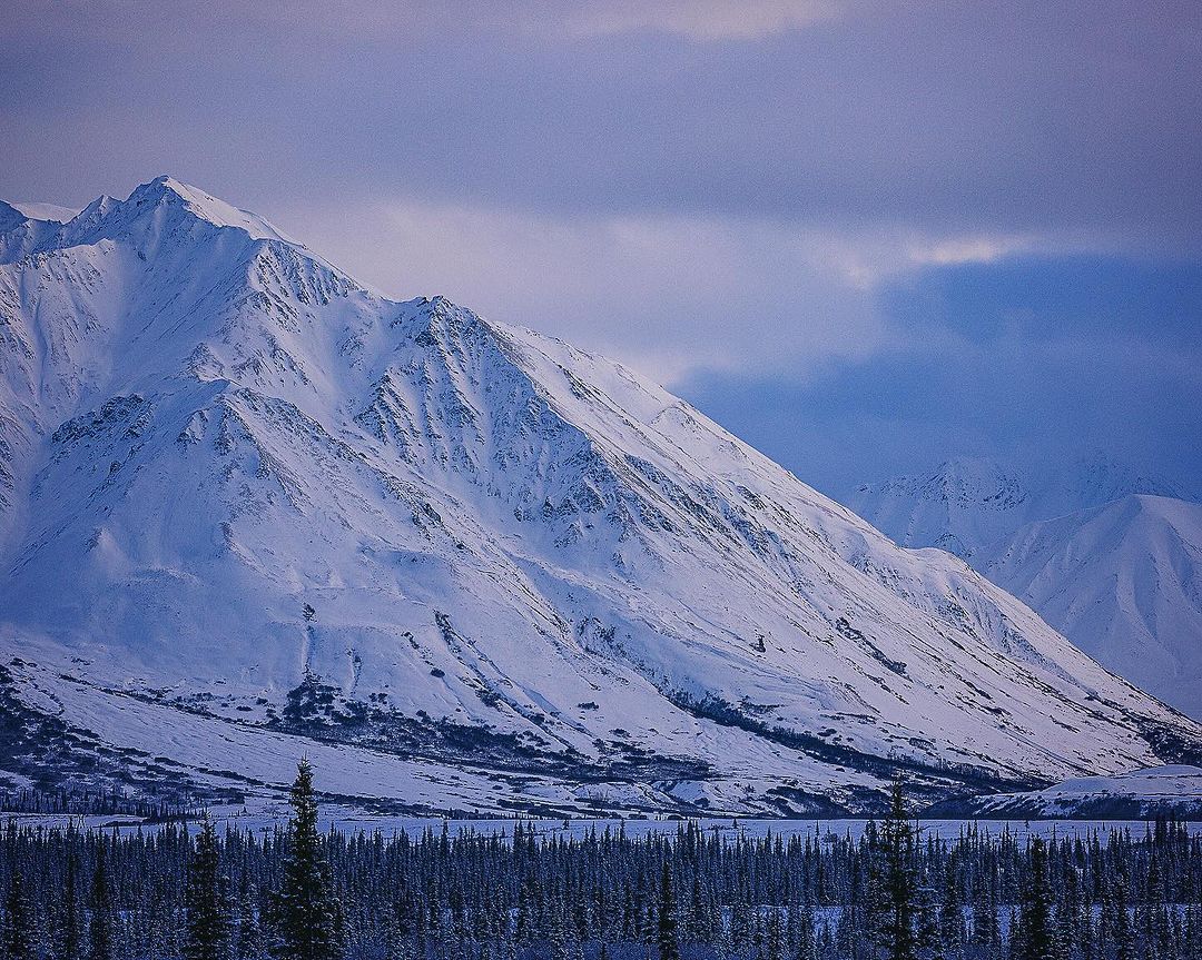 Snowy mountain range dominates the landscape under a blue and cloudy sky, with a dense evergreen forest in the foreground.