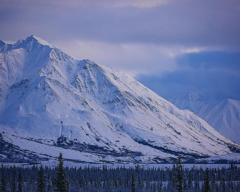 Snowy mountain range dominates the landscape under a blue and cloudy sky, with a dense evergreen forest in the foreground.