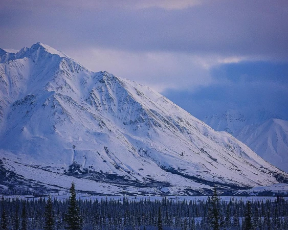 Snowy mountain range dominates the landscape under a blue and cloudy sky, with a dense evergreen forest in the foreground.