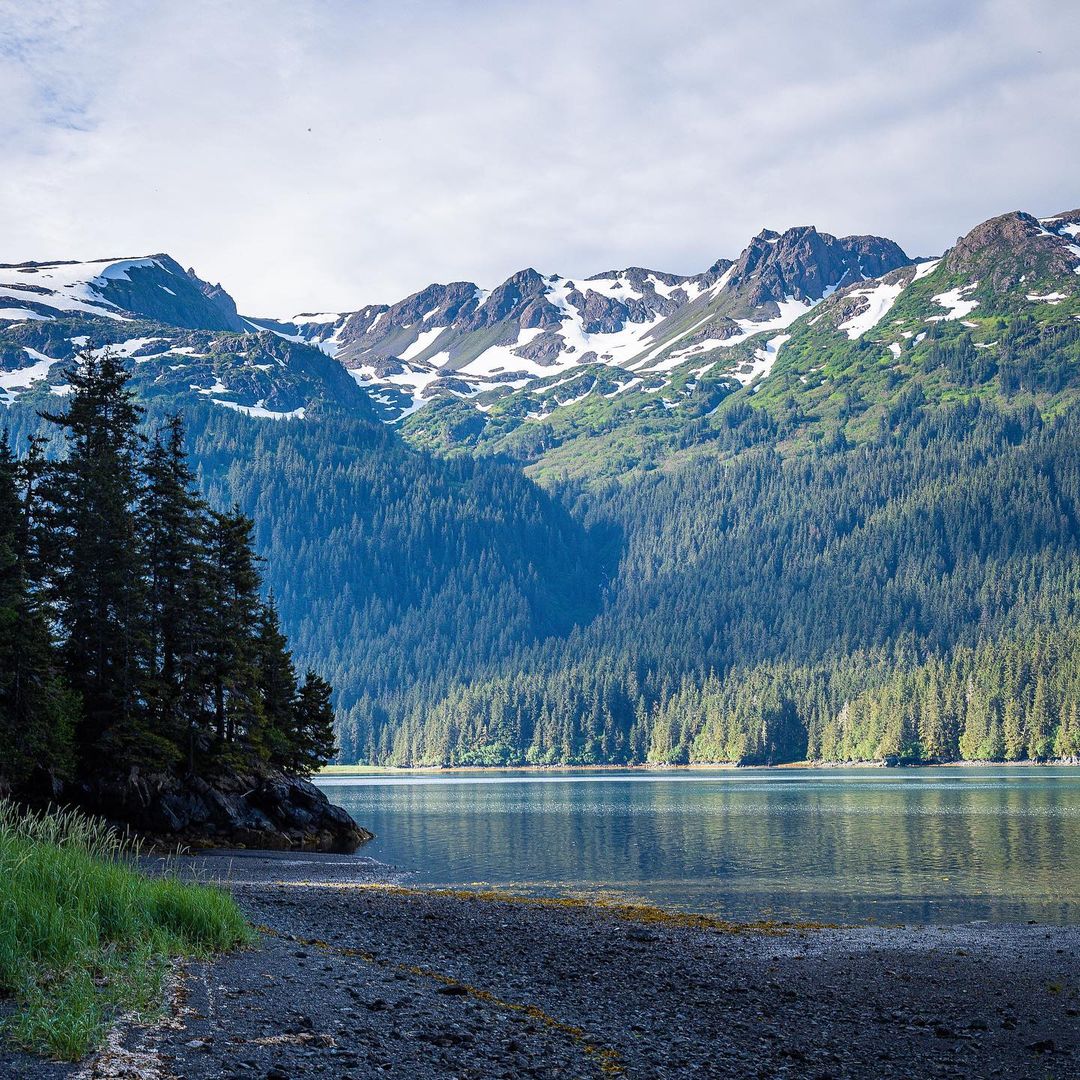Scenic view of snow-capped mountains, a dense forest, and tranquil lake in Alaska, creating a serene and picturesque landscape.