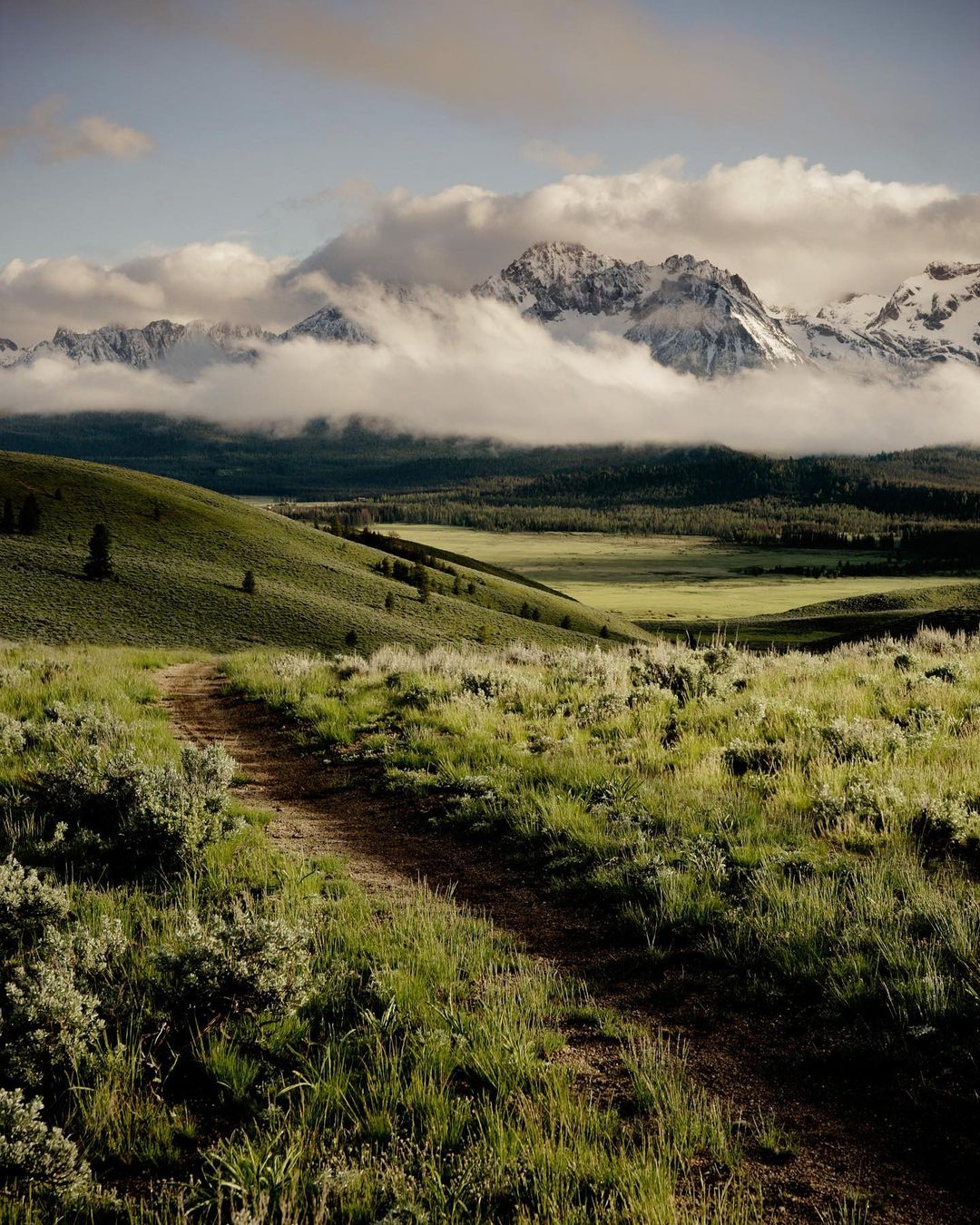 Scenic mountain landscape with a dirt path winding through green fields, framed by snow-capped peaks and clouds in the distance.