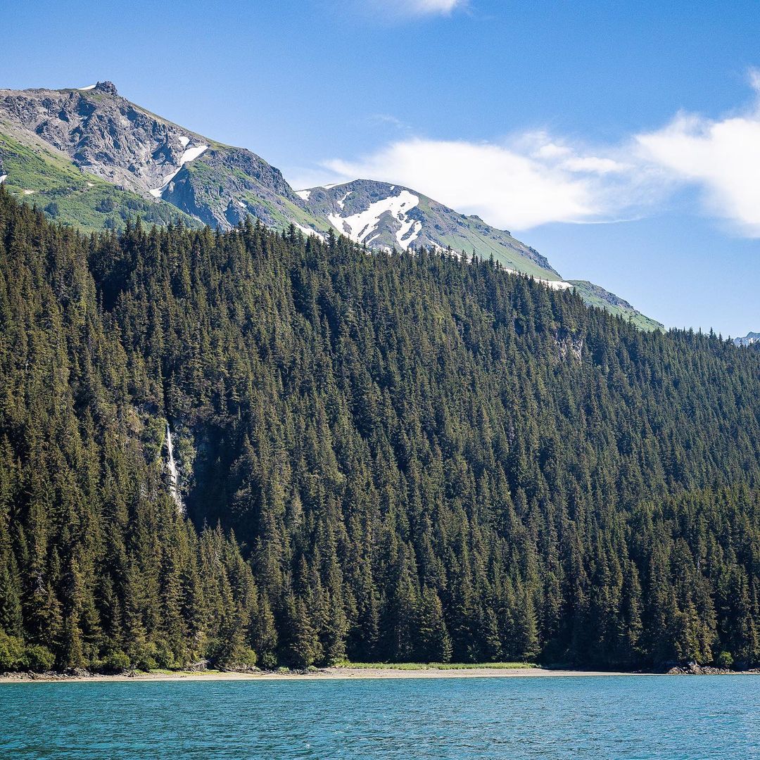 Scenic landscape featuring a mountain covered in a dense forest, a serene body of water, and a partly cloudy sky above.