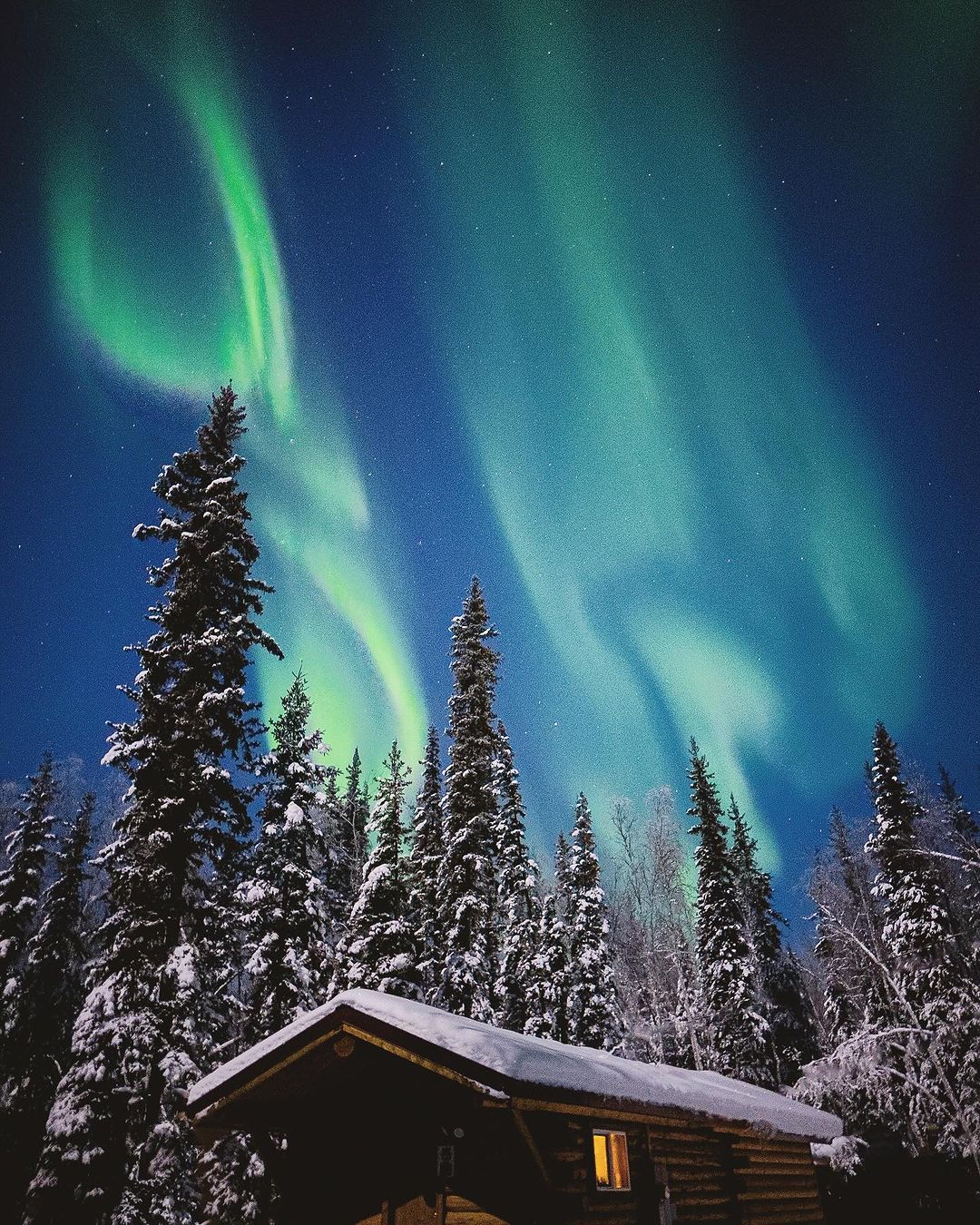 Scenic view of the aurora borealis over a snowy forest and cabin at night, with vibrant green and blue lights illuminating the dark sky.