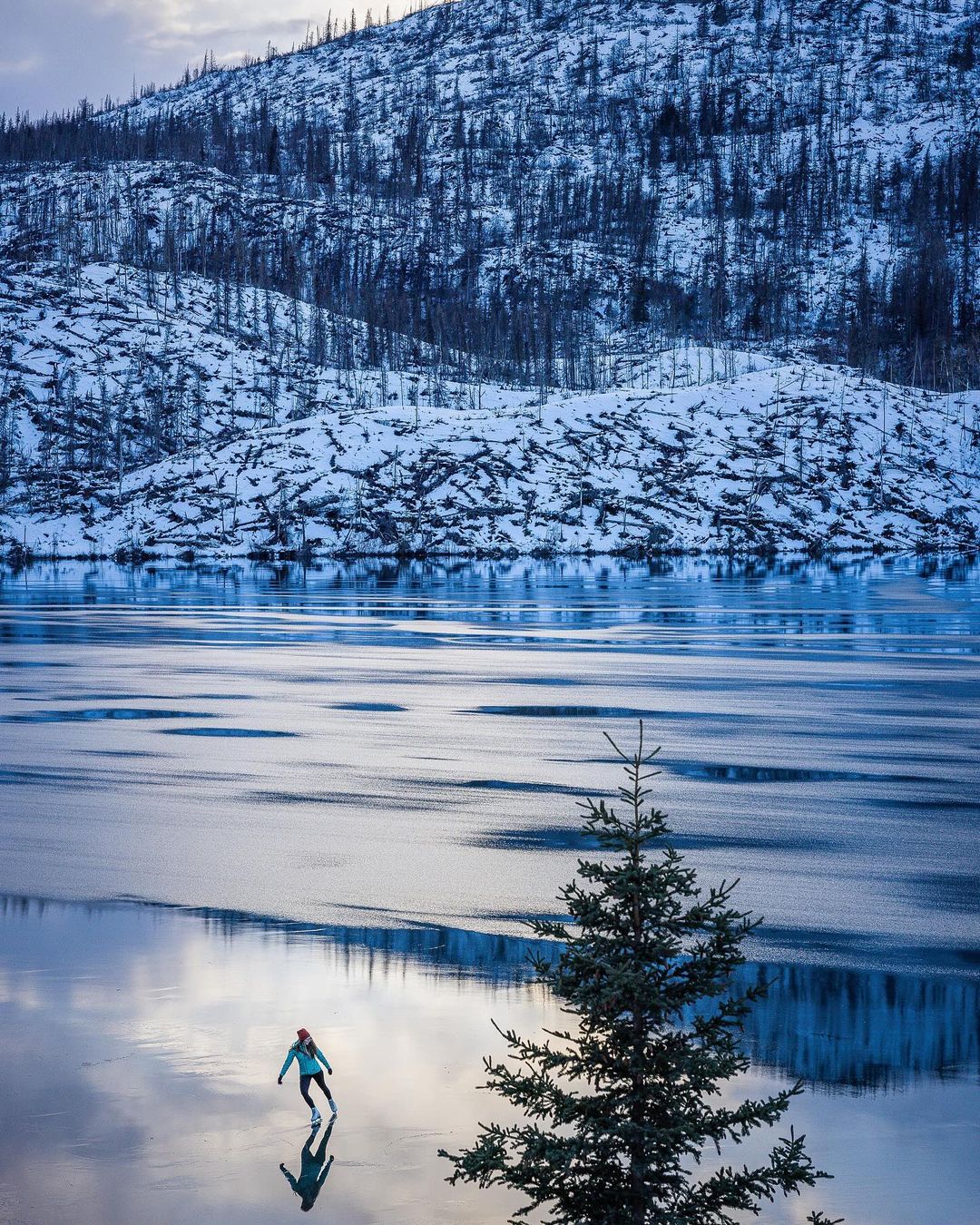 Adult ice skating on frozen lake with snowy hills and scattered bare trees in background, evergreen tree in the foreground.