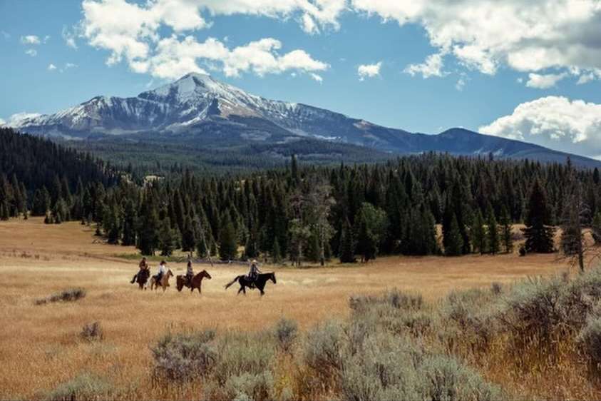 Scenic mountain landscape featuring a group of horseback riders traversing a golden field with a backdrop of evergreen trees and cloudy sky.