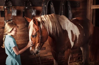 Young girl in a light blue polo shirt gently touching the face of a brown and white horse inside a rustic wooden stable.