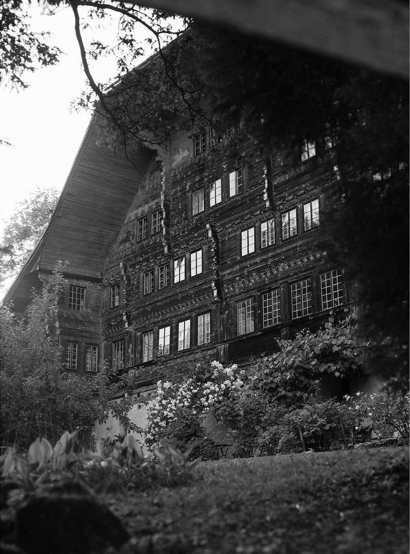 Monochromatic architecture: Large wooden house with multiple windows, surrounded by a garden with leafy trees and blooming flowers.