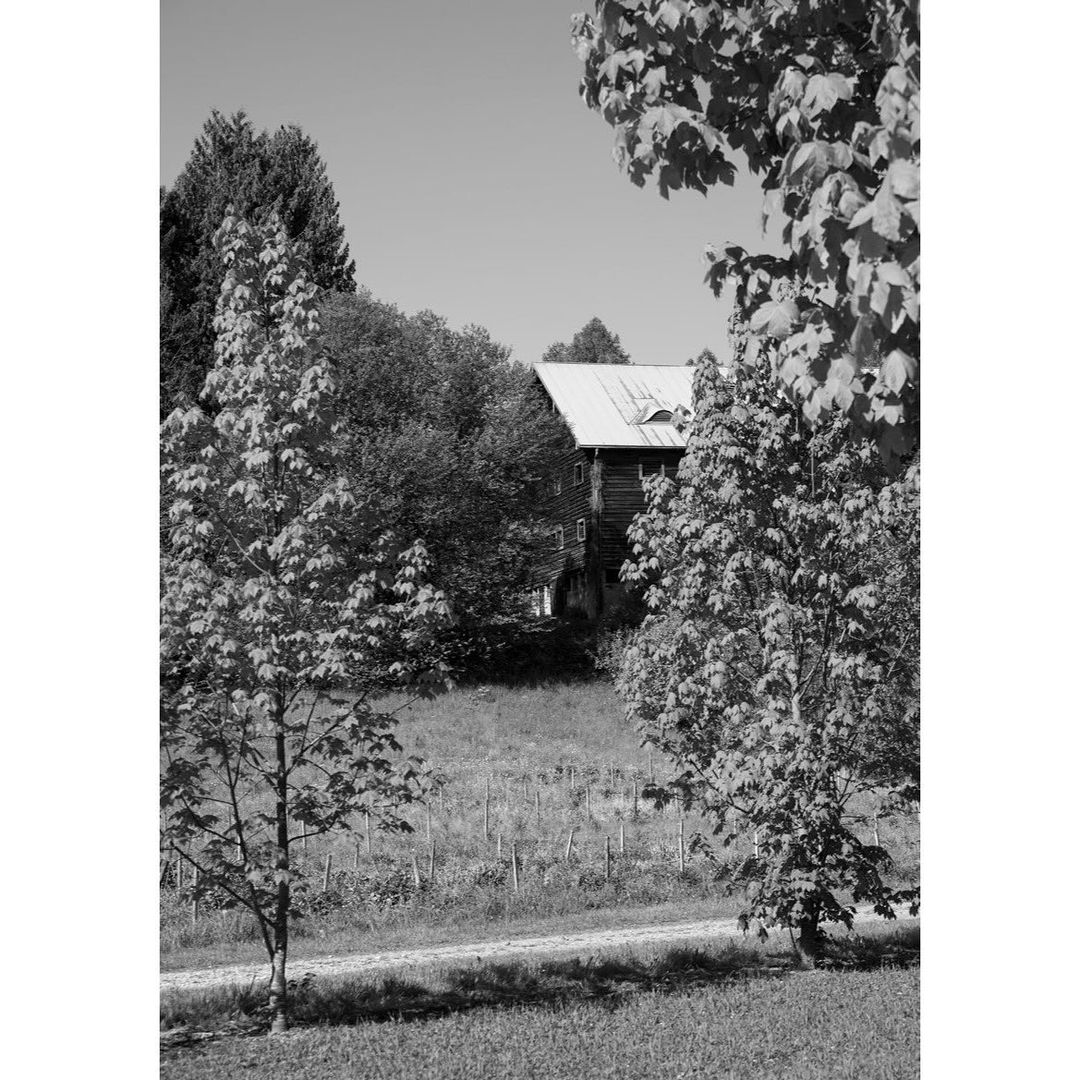 Black and white photo of a wooden house with a metal roof framed by trees in a rural setting on a sunny day.