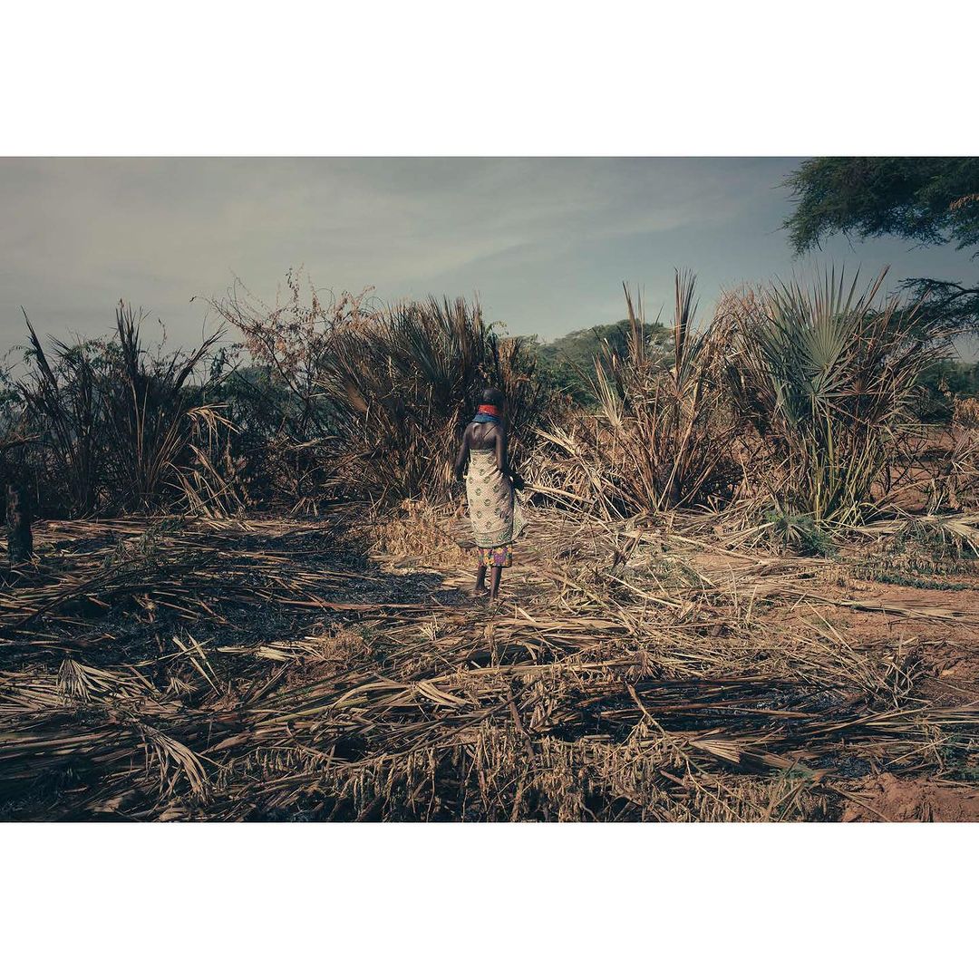 Adult female walks through a field with dried palm leaves and trees under a blue sky with some clouds, wearing a head wrap.