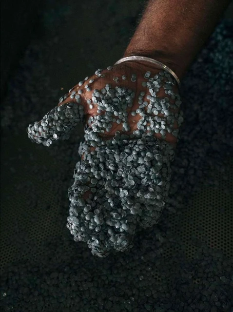 A close-up shot of an arm and hand covered in small, gray, round objects, showing texture and detail against a dark background.