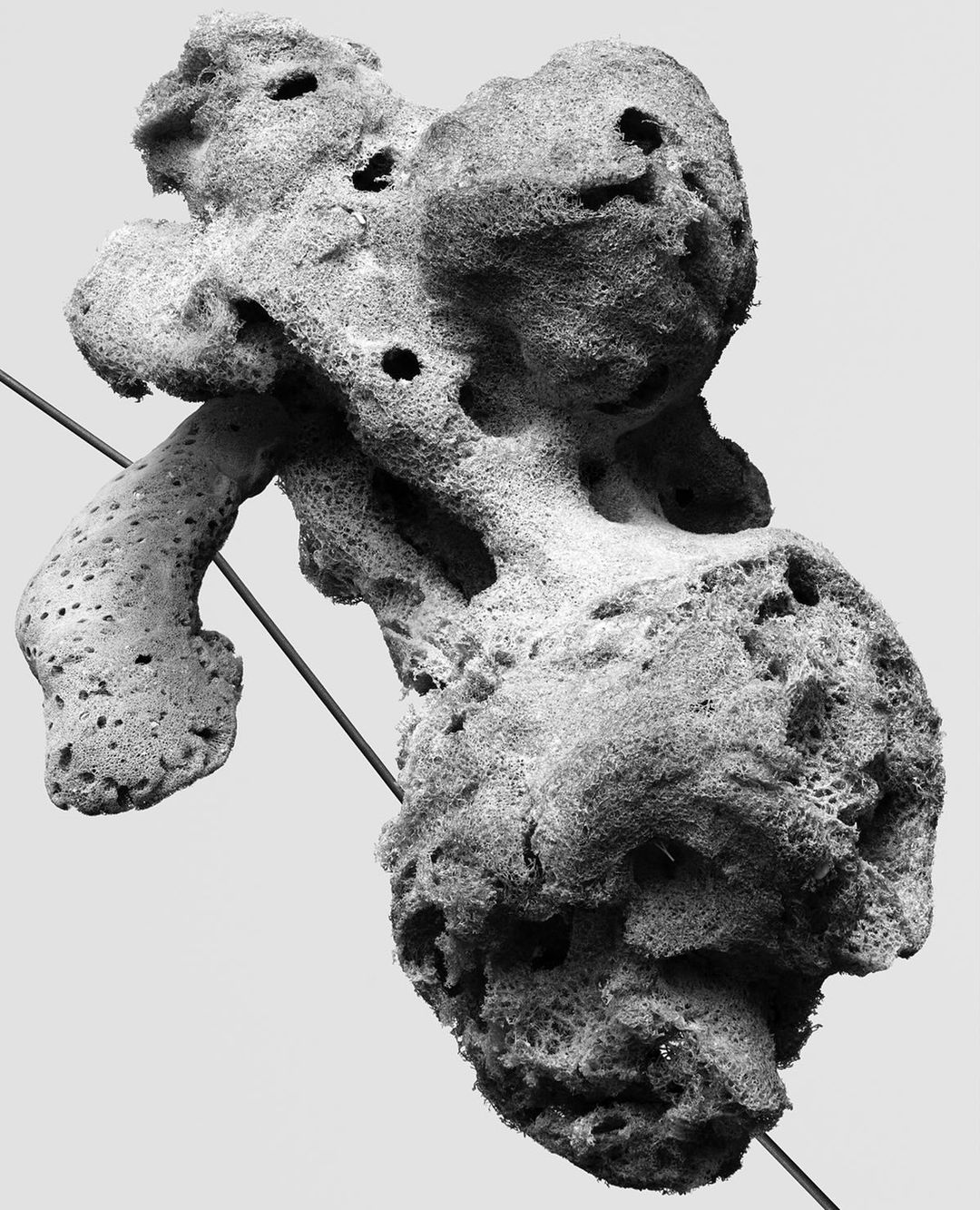 Close-up of a textured natural sea sponge with multiple openings, showcased against a bright, neutral background and thin wire support.