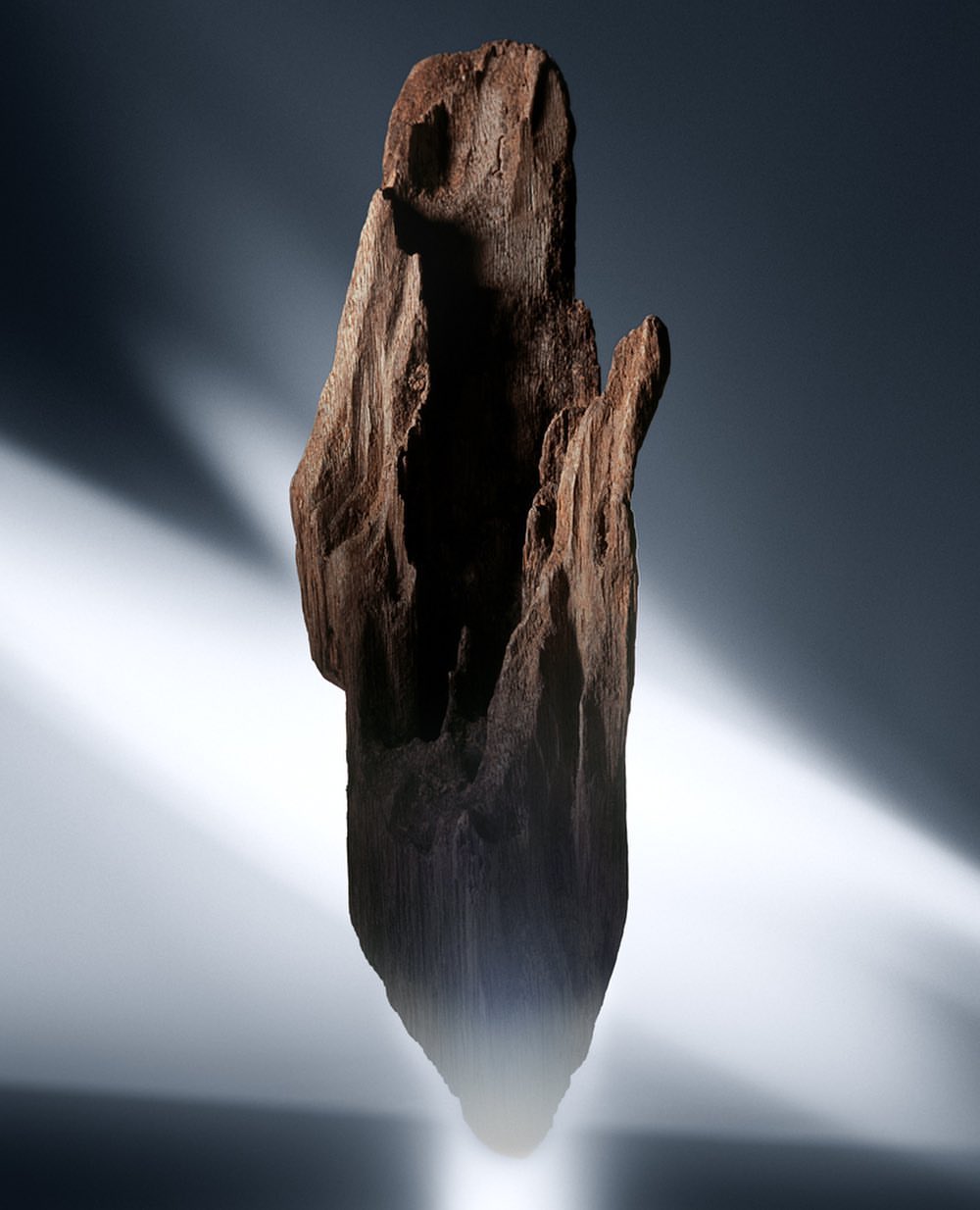Dramatic studio shot of driftwood log featuring rich brown textures and smooth gradient gray background with radiating light effects.