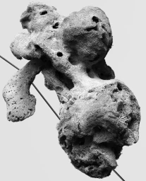 An abstract, porous organic sculpture pierced by a thin diagonal wire against a monochrome background.