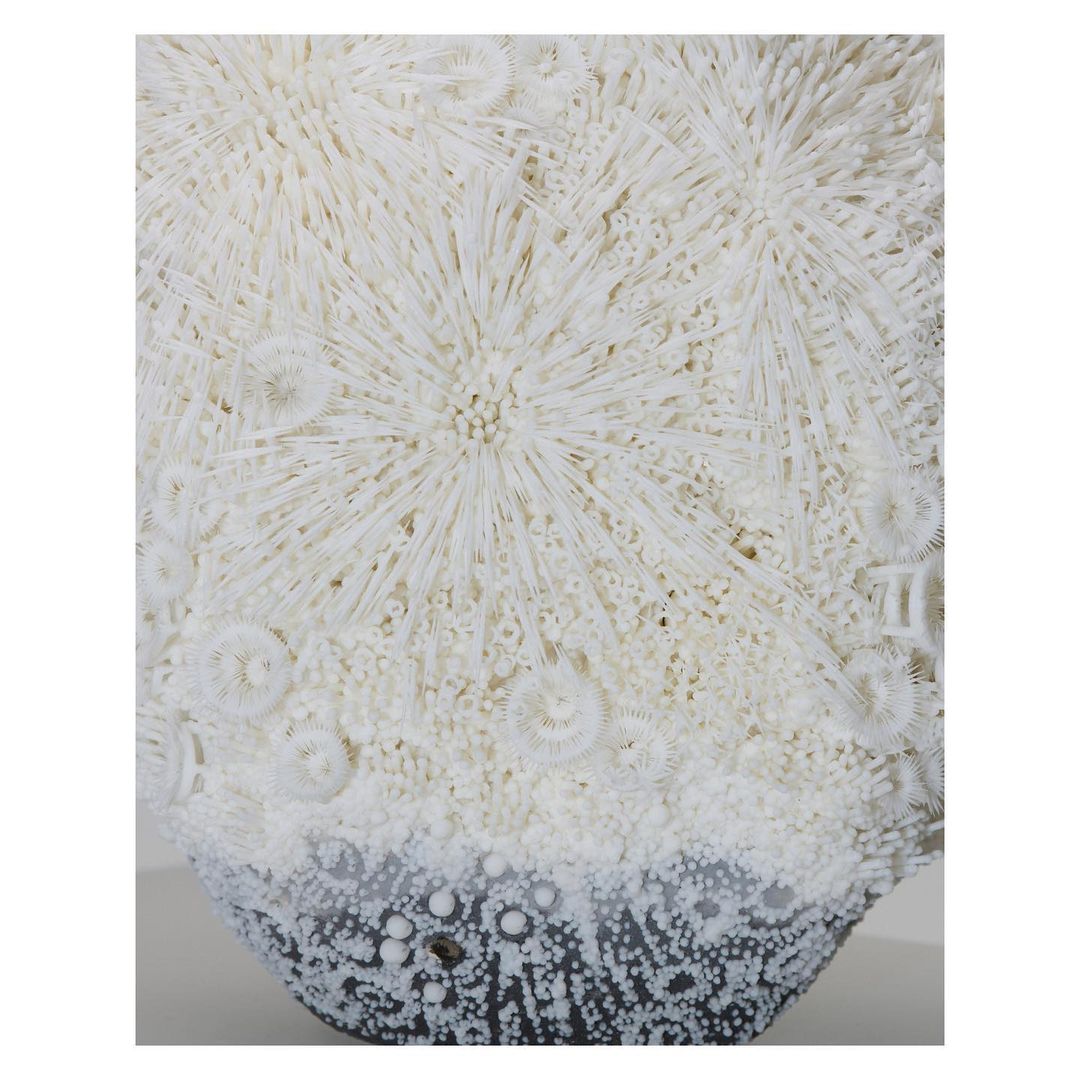 Abstract artwork featuring intricate circular patterns and radial designs in shades of white, cream, and gray, creating a textured visual.