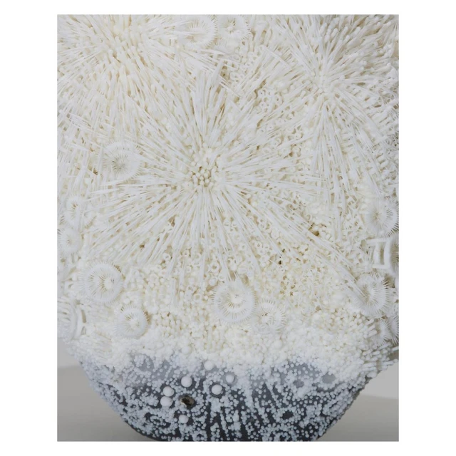 Abstract artwork featuring intricate circular patterns and radial designs in shades of white, cream, and gray, creating a textured visual.