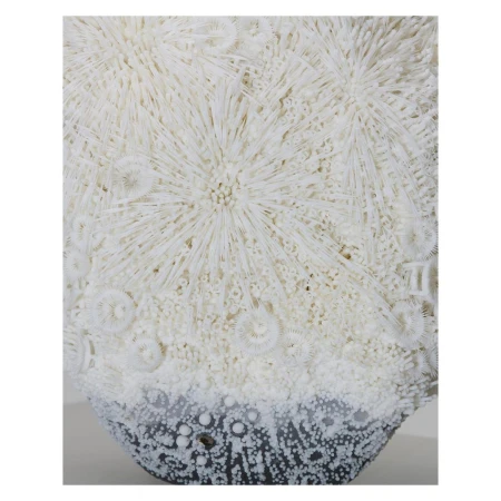 Abstract artwork featuring intricate circular patterns and radial designs in shades of white, cream, and gray, creating a textured visual.