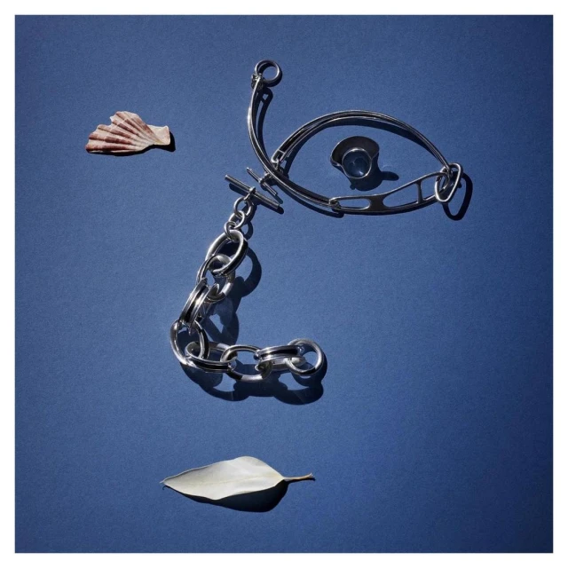 Overhead shot of silver chain necklace, ring, leaf, and seashell arranged on a blue background, illuminated by a strong light source.