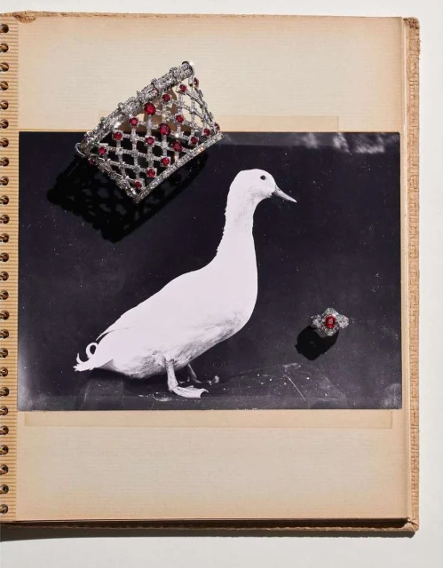 Still life shot featuring a duck photograph, a diamond and ruby bracelet, and a ring displayed in a vintage photo album.