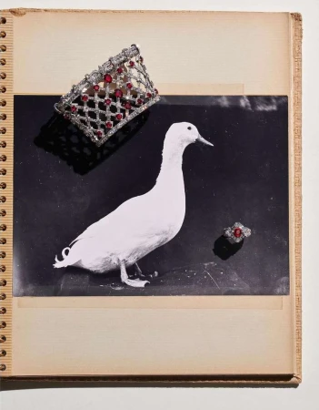 Still life shot featuring a duck photograph, a diamond and ruby bracelet, and a ring displayed in a vintage photo album.