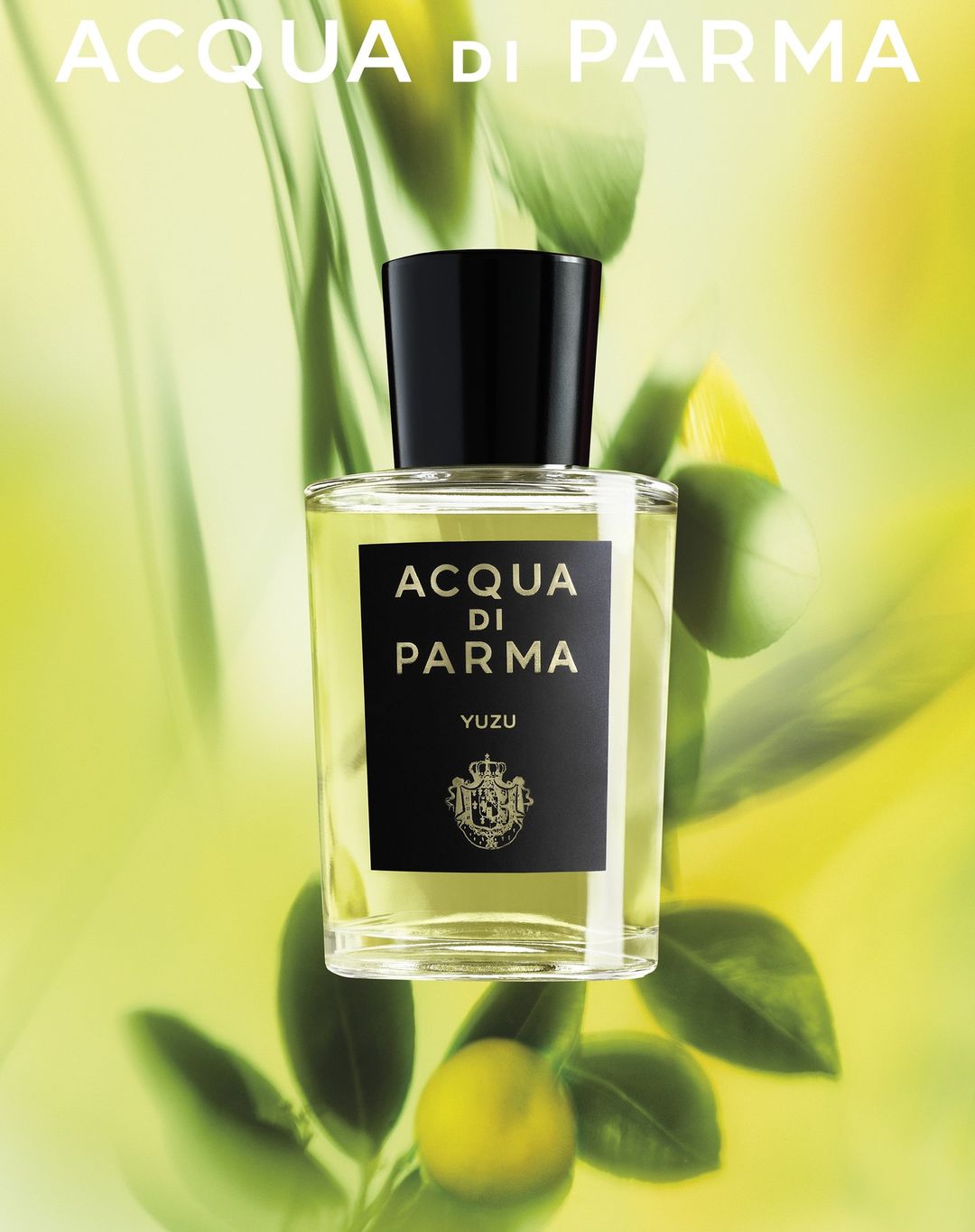 Acqua di Parma Yuzu fragrance bottle against a blurred green backdrop with leaves and fruit, product shot, beauty and personal care.