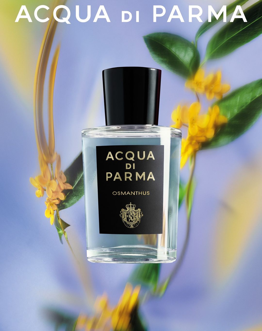 Acqua di Parma Osmathus perfume bottle with floral accents on a soft blue gradient backdrop, highlighting its elegant design.