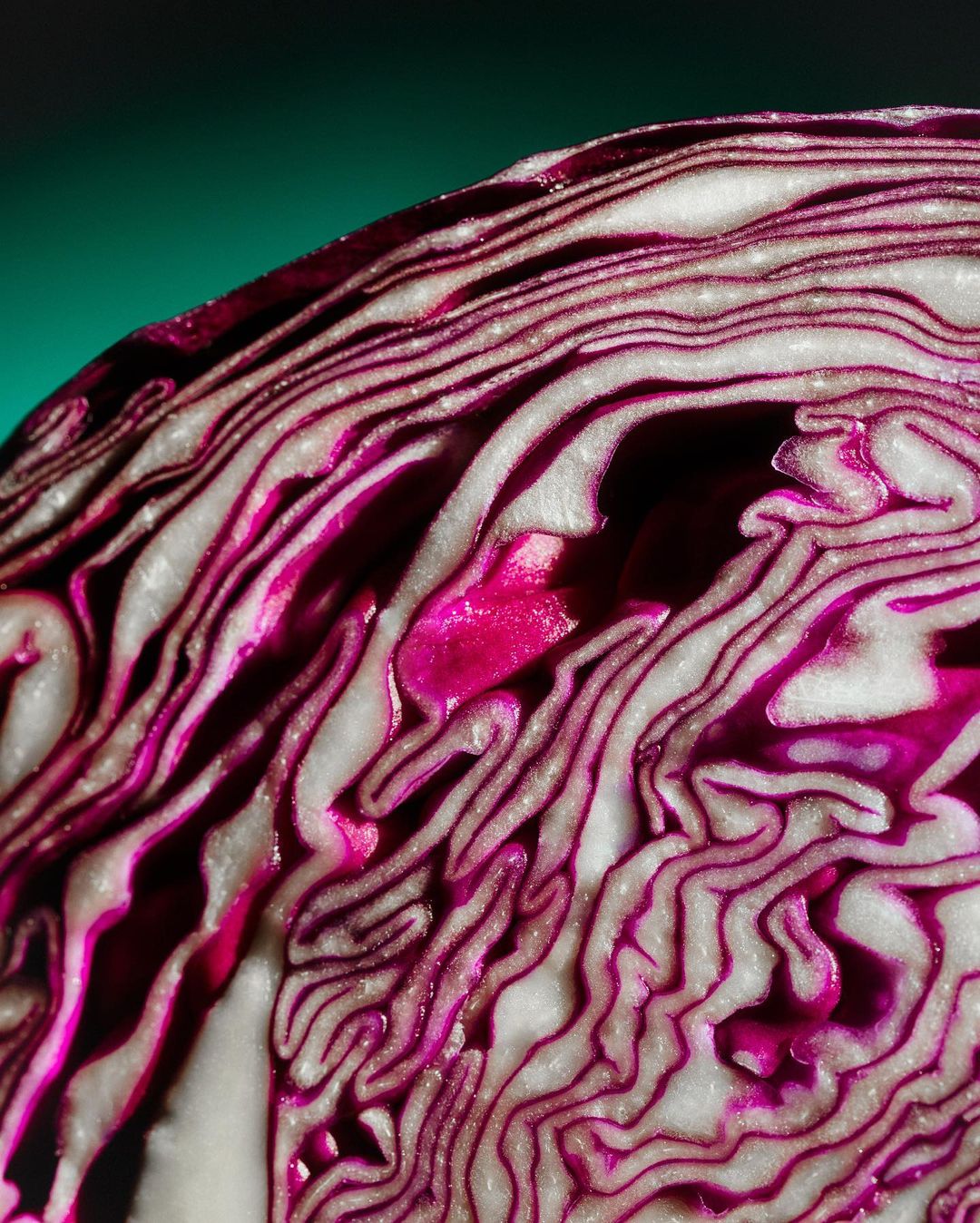 Close-up view of a halved red cabbage showcasing its intricate layers of purple and white against a teal background.