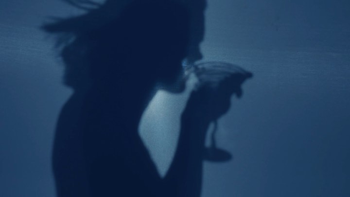 Silhouette of an adult female drinking from a martini glass, set against a solid blue background with soft lighting and shadows.