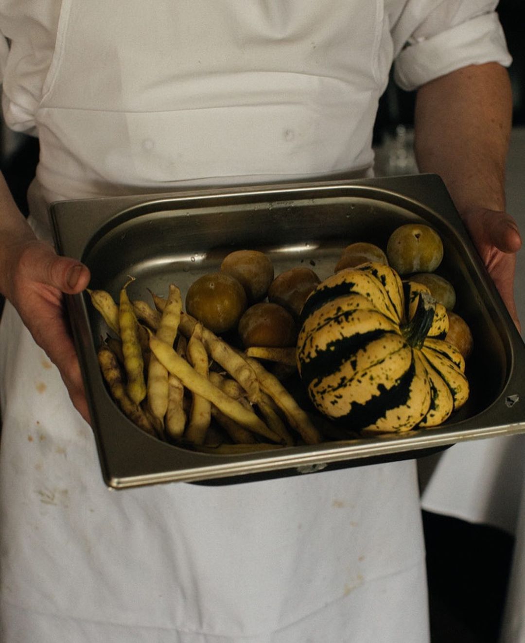 Chef in white uniform holds a stainless steel tray filled with yellow beans, small green squash, and a yellow and black striped squash.