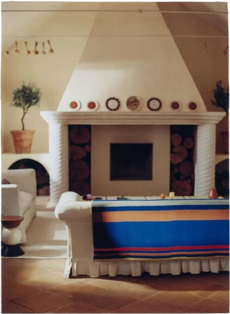 Living room interior featuring a fireplace with decorative plates, logs, and seating area, with a potted tree adding a touch of greenery.
