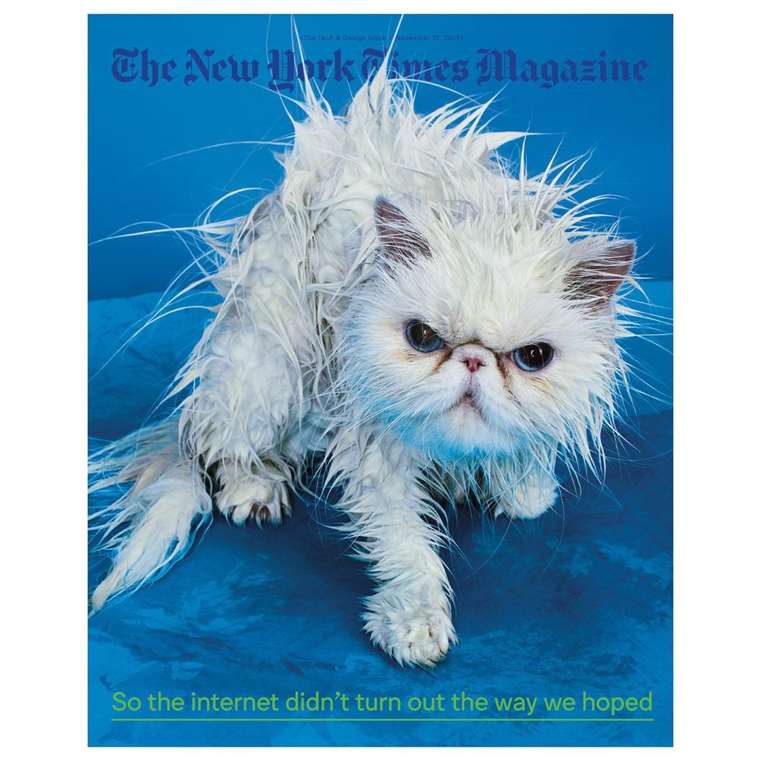 Magazine cover featuring a wet white Persian cat with a grumpy expression on a blue background, promoting an article about the internet.