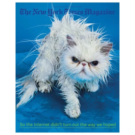 Magazine cover featuring a wet white Persian cat with a grumpy expression on a blue background, promoting an article about the internet.