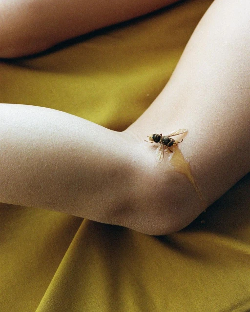 Close-up studio shot features a bee on a person's arm with honey against a yellow backdrop, creating a visually striking composition.
