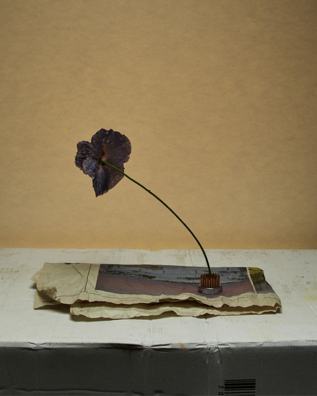 Still life of a purple flower in a metal holder on top of layered sheets of paper on a white surface against a tan background.