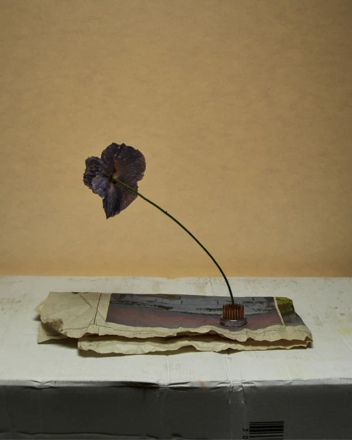 Still life of a purple flower in a metal holder on top of layered sheets of paper on a white surface against a tan background.