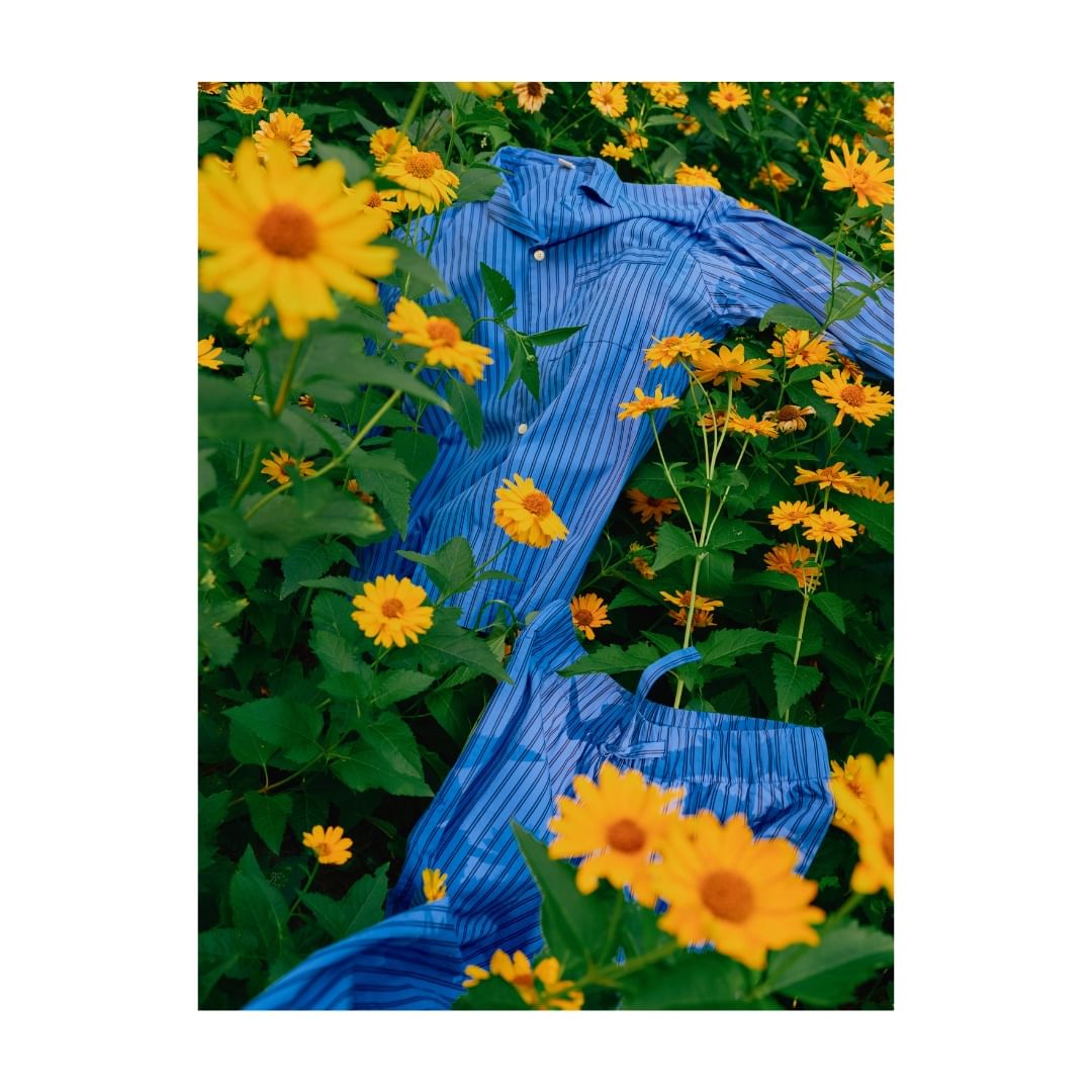 Blue striped pajamas set is laid out in a field of yellow daisy-like flowers with green stems and leaves. Bright, sunny, outdoor shot.