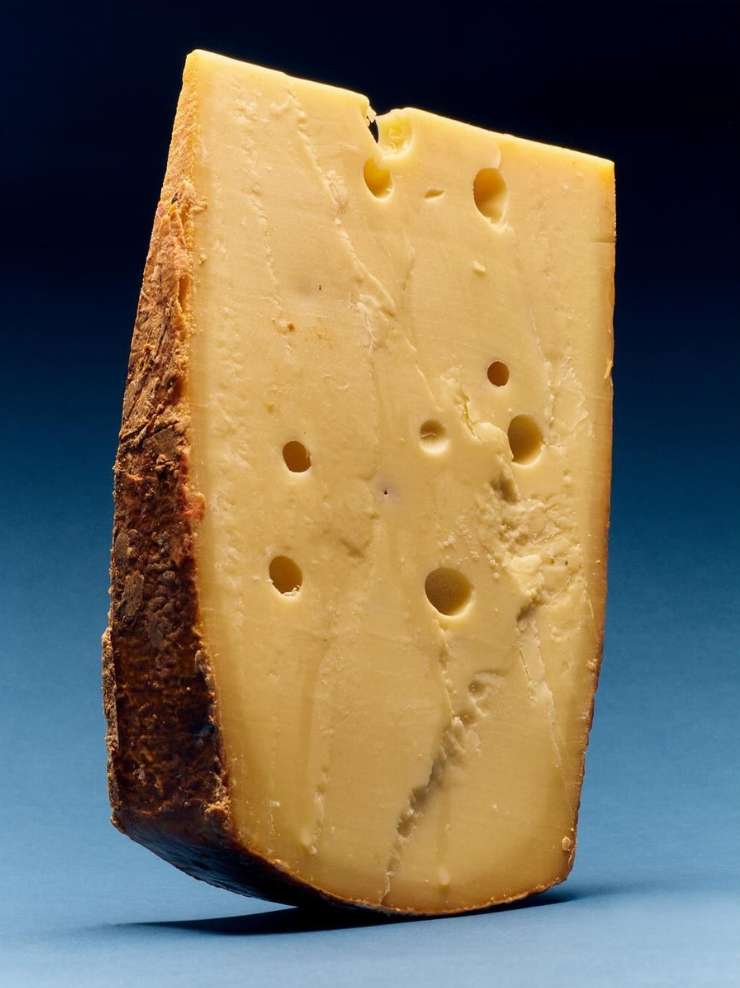 Wedge of cheese with holes, close-up food photography on a dark blue background. Food and beverage still life composition.
